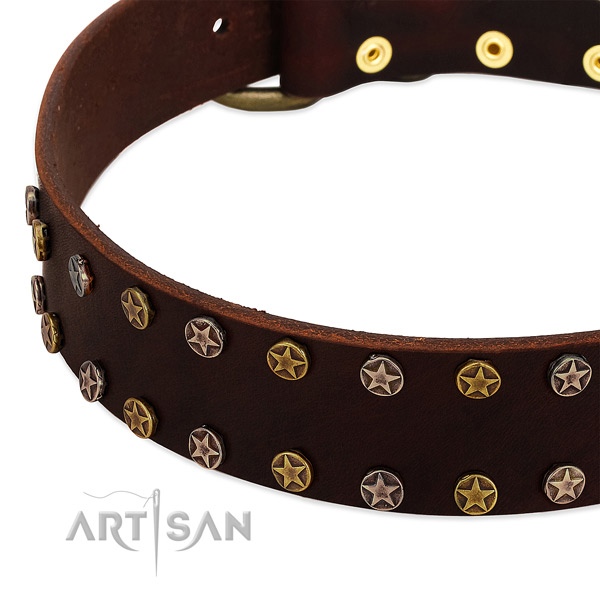 Daily use full grain genuine leather dog collar with unique embellishments