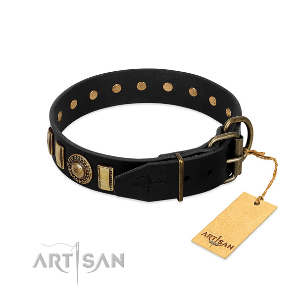 Strong full grain natural leather dog collar with embellishments