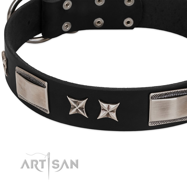 Best quality genuine leather dog collar with durable fittings