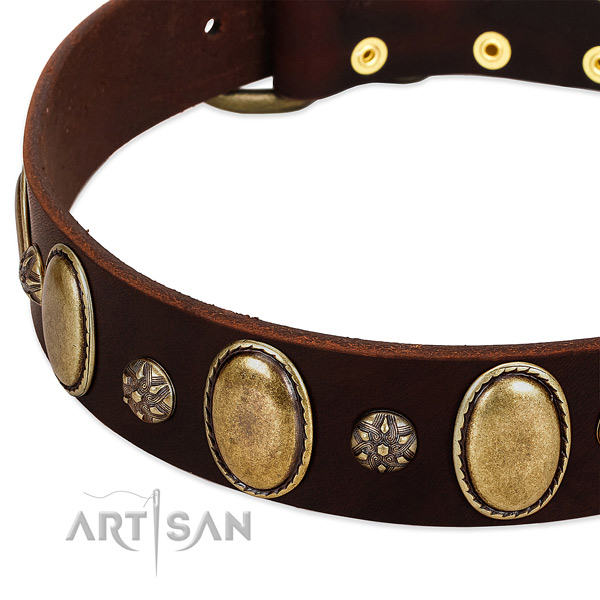 Daily walking top rate full grain leather dog collar