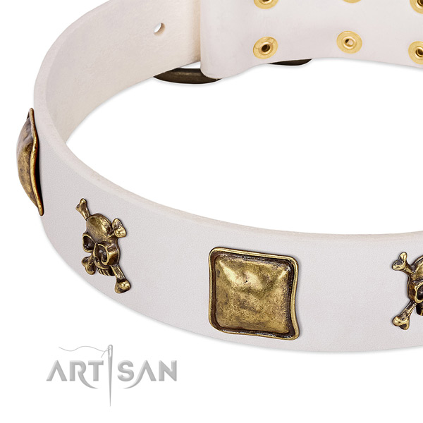 Easy wearing full grain natural leather dog collar with fashionable studs