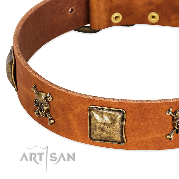 Inimitable genuine leather dog collar with rust-proof decorations