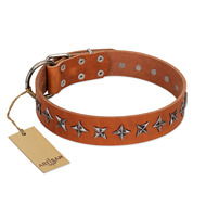 "Star Trek" FDT Artisan Tan Leather Collie Collar Decorated with Stars