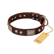 "Pirate Skull" FDT Artisan Brown Leather Collie Collar with Old Silver Look Plates and Skulls