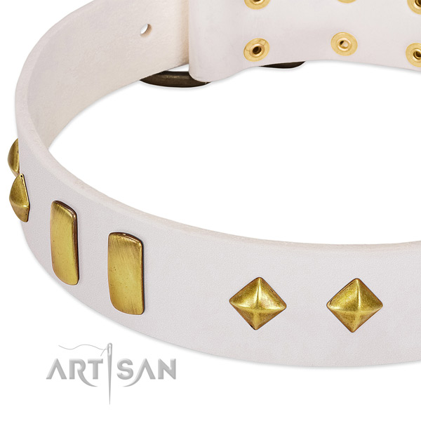 Gentle to touch natural leather dog collar with durable buckle