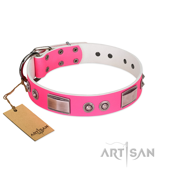 Stylish design dog collar of genuine leather with studs