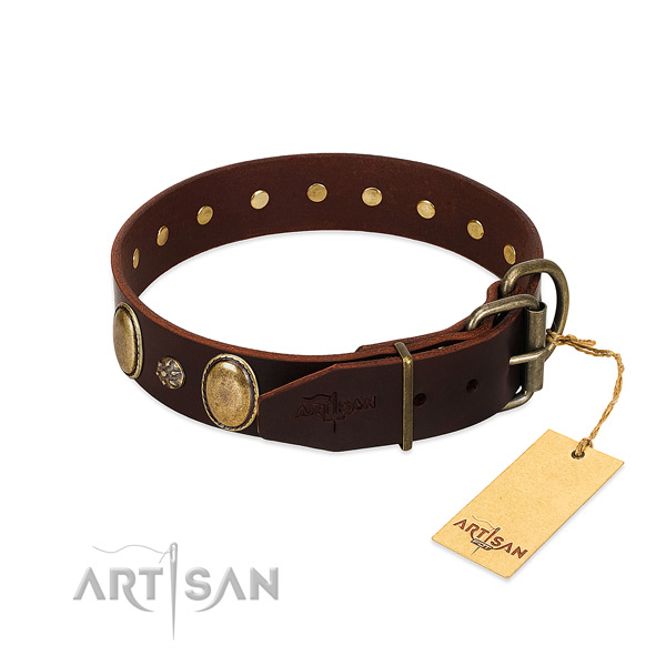 Daily walking top rate full grain natural leather dog collar