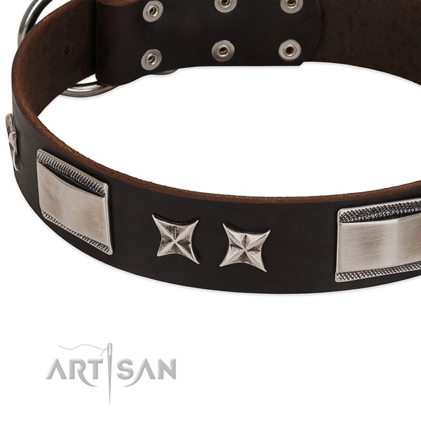 Fashionable collar of natural leather for your handsome four-legged friend