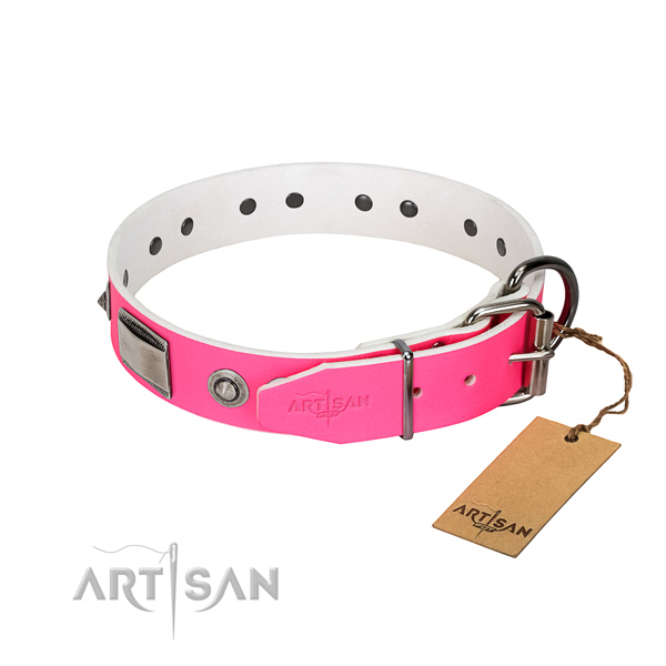 Unique dog collar of full grain natural leather with decorations