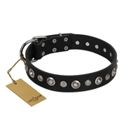 "Genteel Charm" FDT Artisan Black Leather Collie Collar with Silver-like Round Conchos