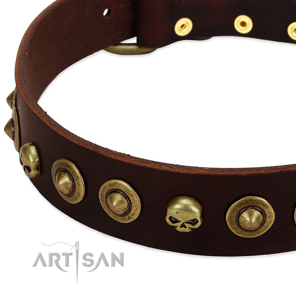 Remarkable embellishments on leather collar for your pet