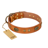"Sun Beams" FDT Artisan Tan Leather Collie Collar with Decorations