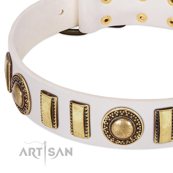 Best quality leather dog collar for your lovely four-legged friend