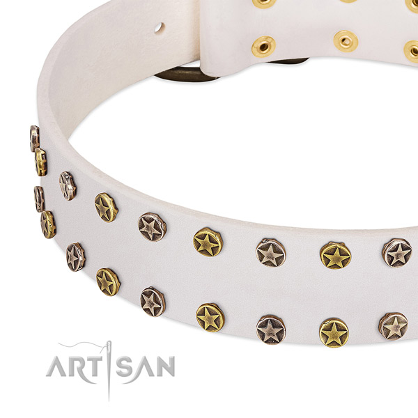 Unique studs on leather collar for your dog
