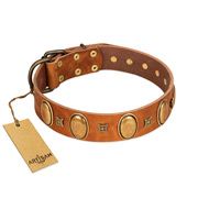 "Glossy Autumn" Designer Handmade FDT Artisan Tan Leather Collie Collar with Ovals and Studs