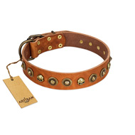 "Prez of the Pack" FDT Artisan Tan Leather Collie Collar with Skulls and Brooches