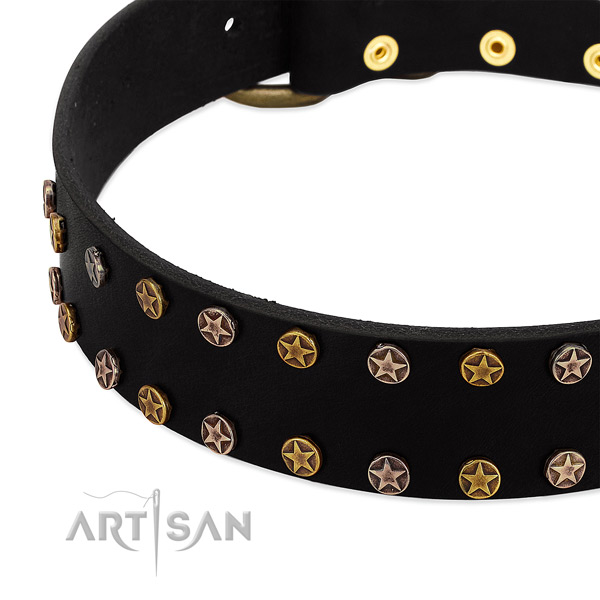 Remarkable decorations on natural leather collar for your four-legged friend