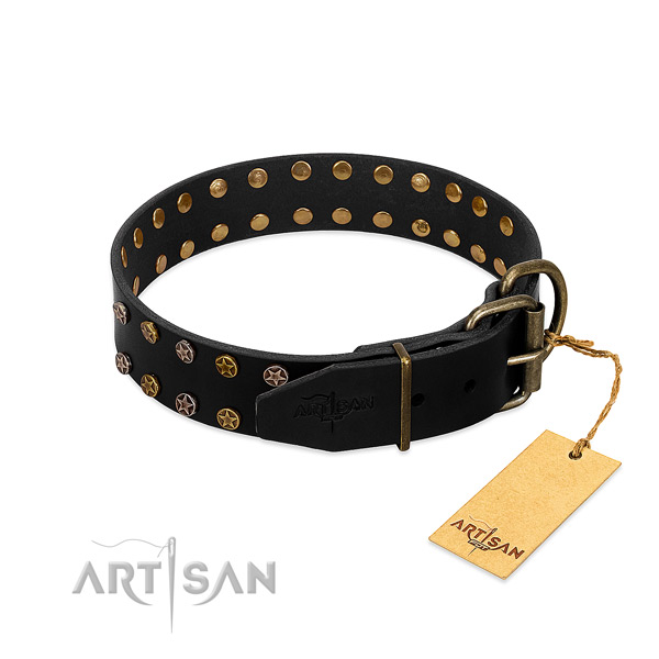 Full grain genuine leather collar with extraordinary embellishments for your dog