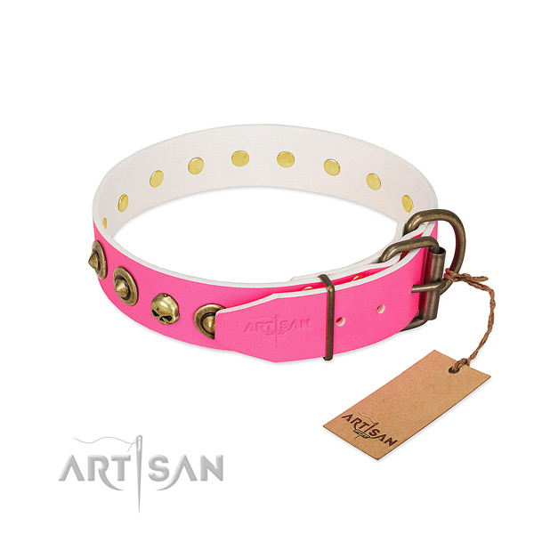 Full grain genuine leather collar with unique adornments for your canine