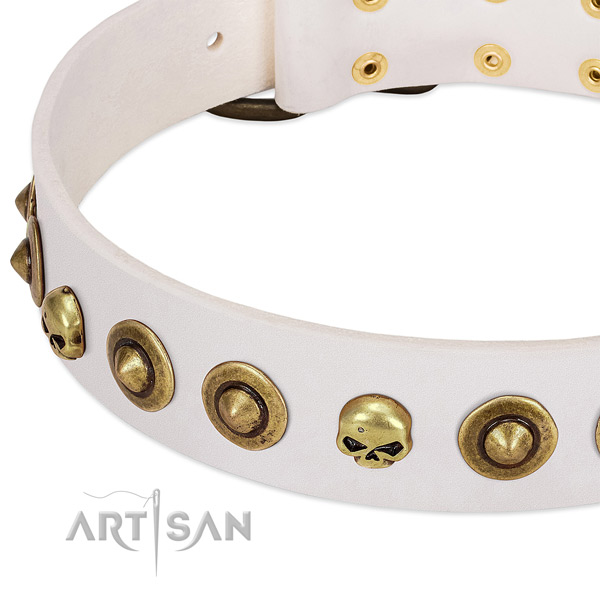 Incredible adornments on full grain natural leather collar for your four-legged friend