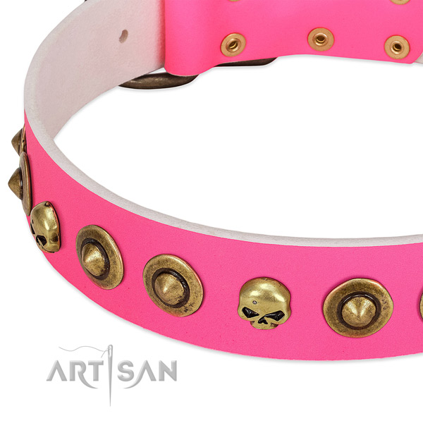 Unique decorations on natural leather collar for your four-legged friend