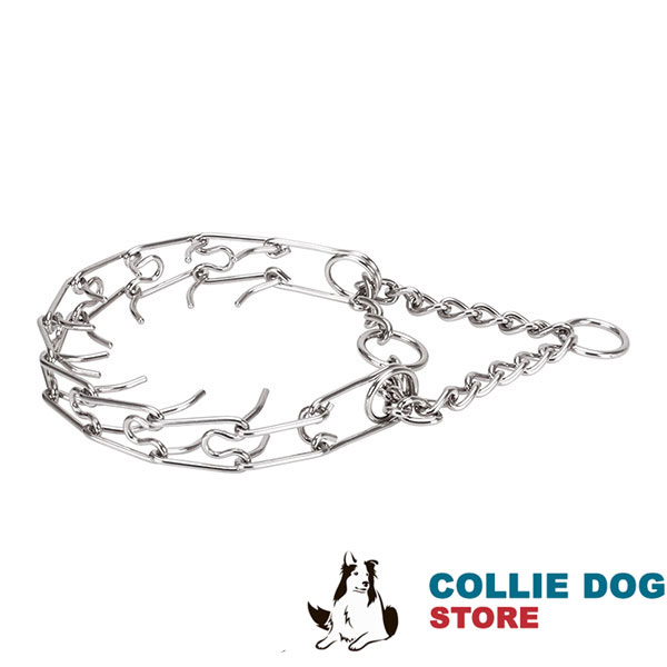 Strong prong collar with stainless steel O-ring for attaching a leash