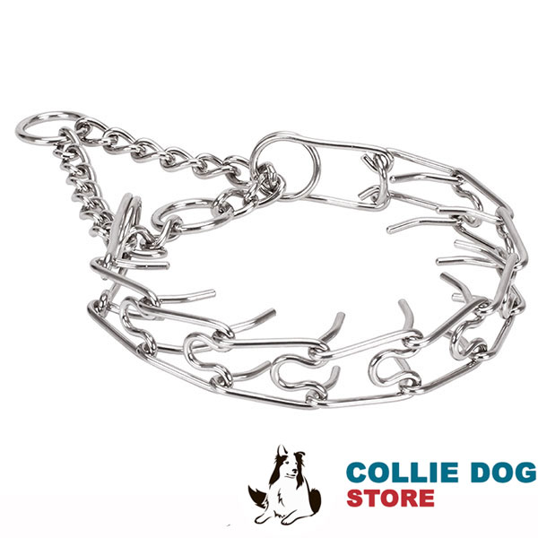 Durable rust proof dog pinch collar with stainless steel removable prongs