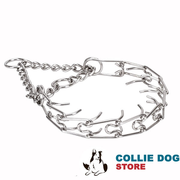 Prong collar of durable stainless steel for ill behaved pets