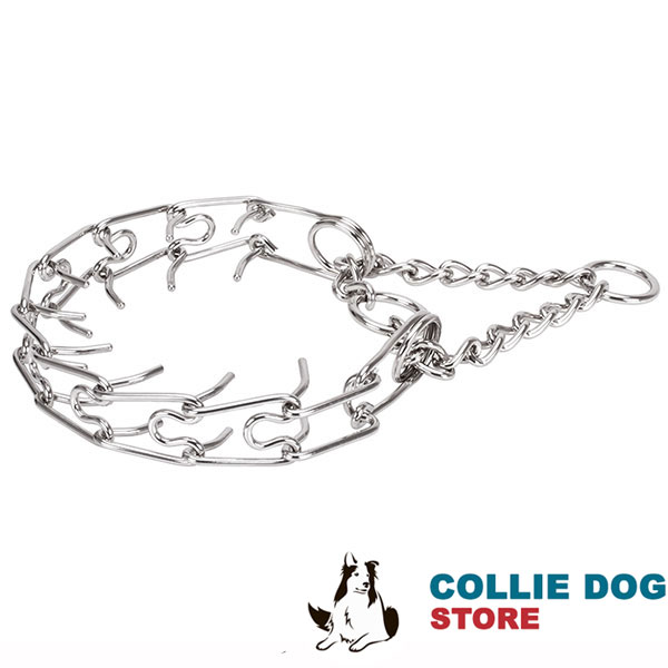 Dog pinch collar of dependable stainless steel for large breeds