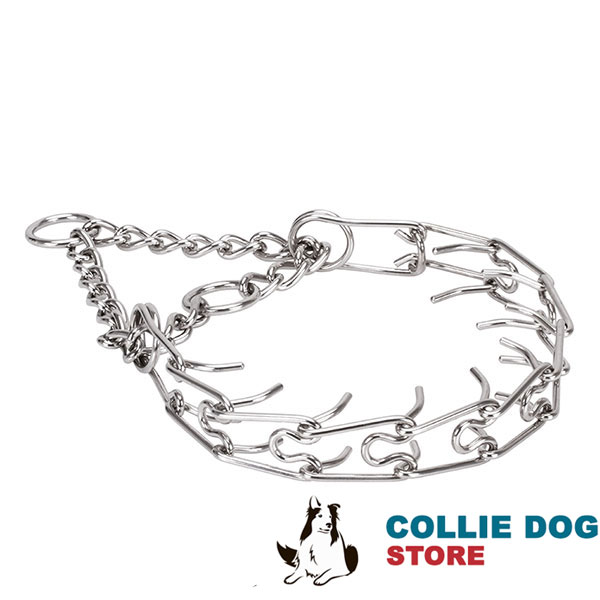 Pinch collar of rust proof stainless steel for ill behaved dogs