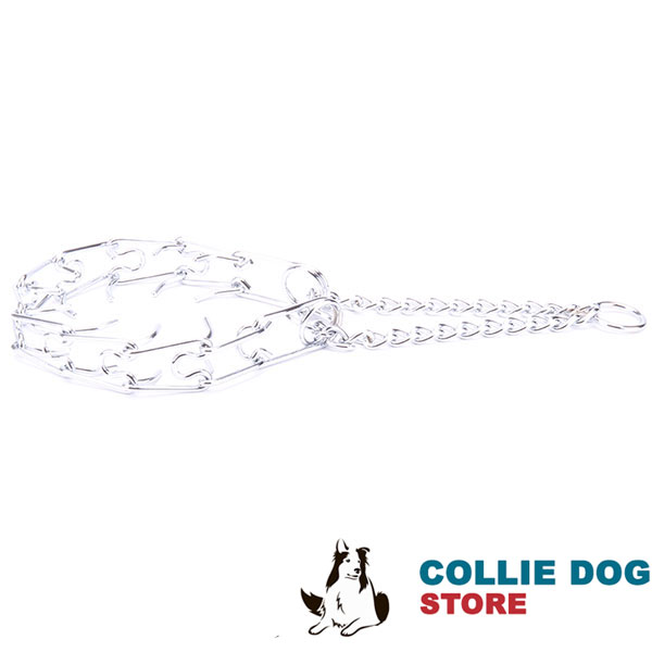 Top quality chrome plated prong collar for obedience training