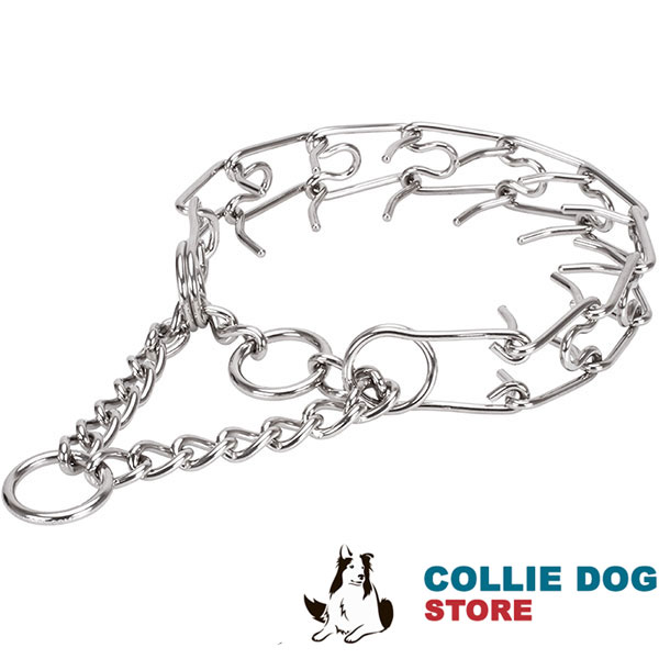 Stainless steel dog prong collar with removable prongs for large canines