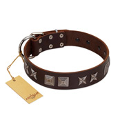 "Needle Stories" Modern FDT Artisan Brown Leather Collie Collar with Square Engraved Plates and Four-Point Stars