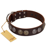 "Treasure Hunter" FDT Artisan Brown Leather Collie Collar with Old-Bronze-like and Silvery Medallions