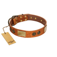 "Bronze Century" FDT Artisan Tan Leather Collie Collar with Plates and Brooches with Cool Ornament