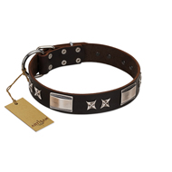 "Satin Beauts" FDT Artisan Brown Leather Collie Collar with Stars and Plates