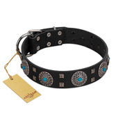 "Boundless Blue" FDT Artisan Black Leather Collie Collar with Chrome Plated Brooches and Square Studs
