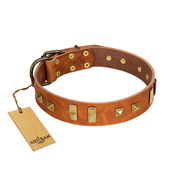 "Sand of Time" FDT Artisan Tan Leather Collie Collar with Old Bronze-like Studs and Plates
