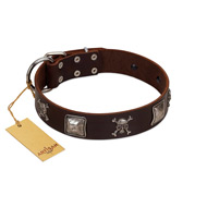 "Nut-Brown Finery" Embellished FDT Artisan Brown Leather Collie Collar with Chrome Plated Crossbones and Plates