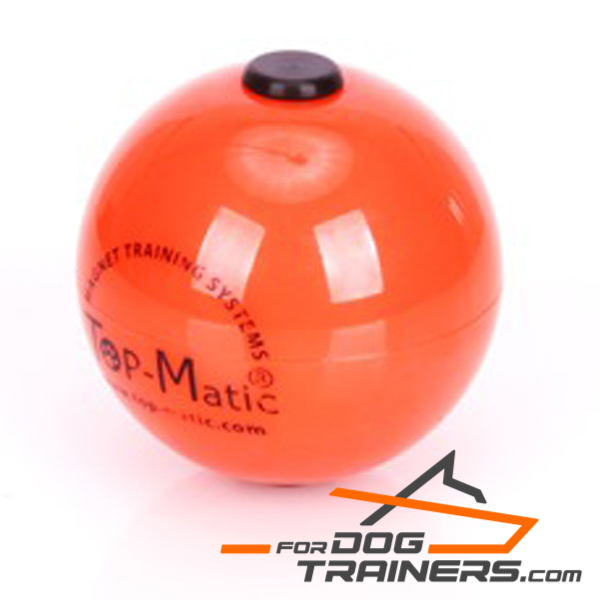 Dog ball with magnet for training