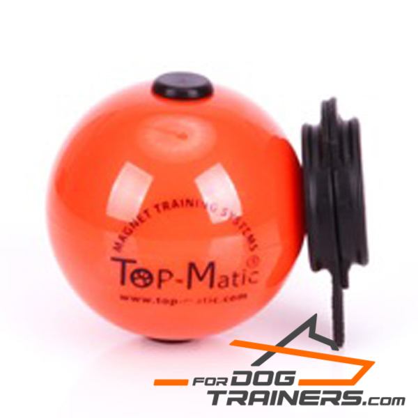 Orange dog ball with set of magnets for training