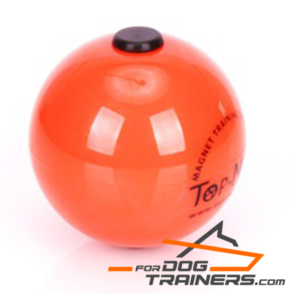 Dog ball with magnets for training