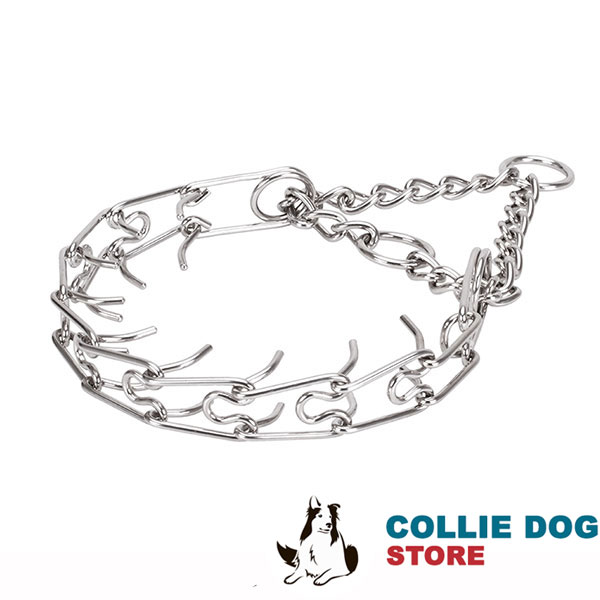 Prong collar with rust proof O-ring of stainless steel