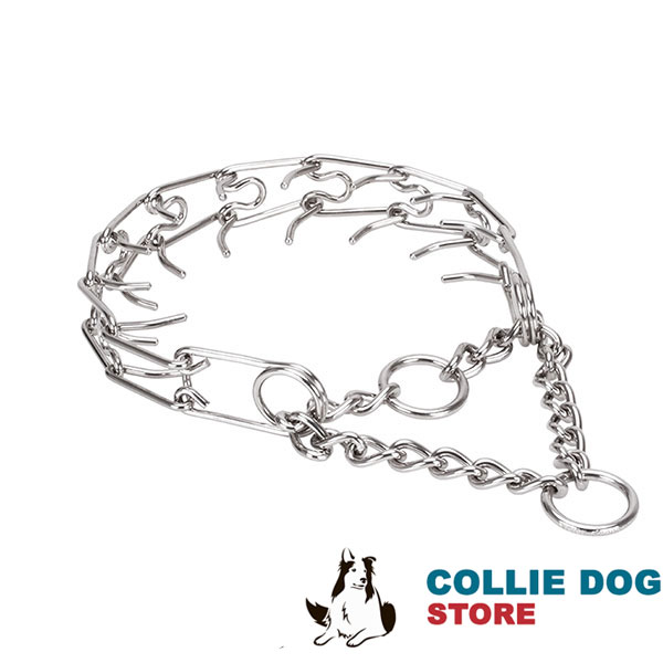 Dog prong collar with stainless steel removable links for large pets
