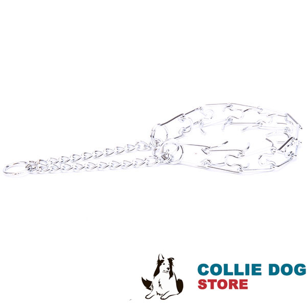Prong collar chrome plated for poorly behaved canines