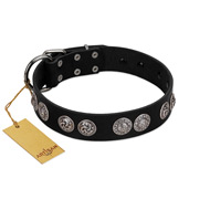 "Magic Amulete" Handcrafted FDT Artisan Black Leather Collie Collar with Chrome-Plated Shields