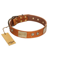 "Ancient Treasures" FDT Artisan Tan Leather Collie Collar with Antiqued Plates and Studs