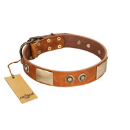 "Perfect Blend" FDT Artisan Tan Leather Collie Collar 1 1/2 inch (40 mm) wide