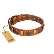 "Strike of Rock" FDT Artisan Tan Leather Collie Collar with Plates and Medallions with Skulls