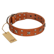"Faraway Galaxy" FDT Artisan Tan Leather Collie Collar Adorned with Stars and Squares
